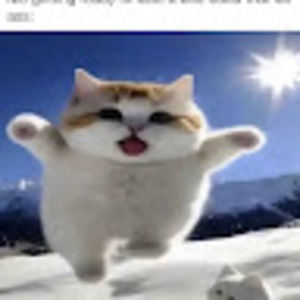 Meet your Posher, Albert